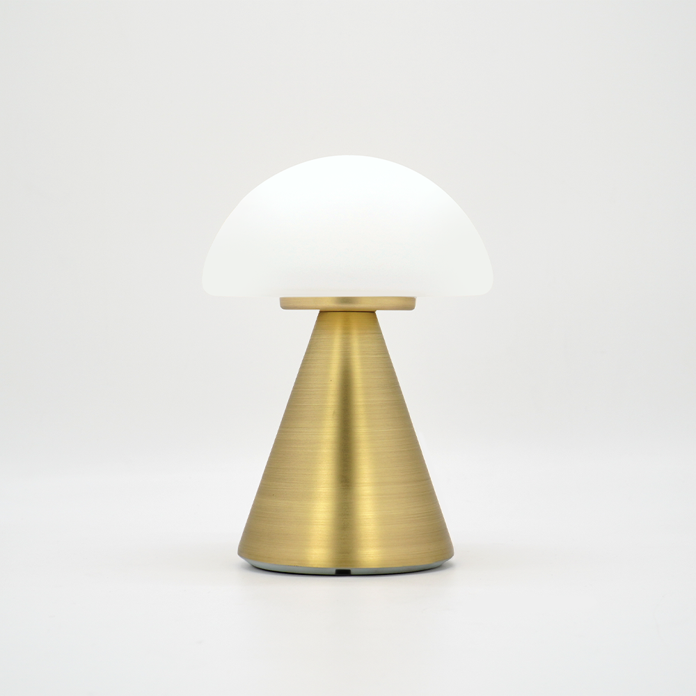 Brisa_Mushroom type_table lamp