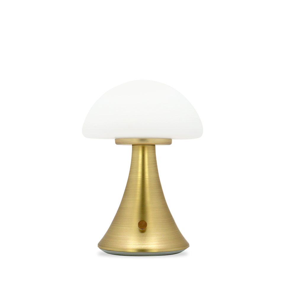 Brisa_Mushroom type_table lamp