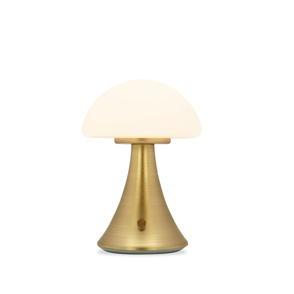 Brisa_Mushroom type_table lamp