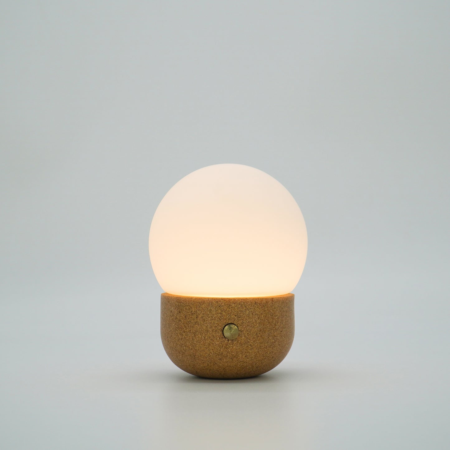 MOON- rice bran - biowaste material table lamp