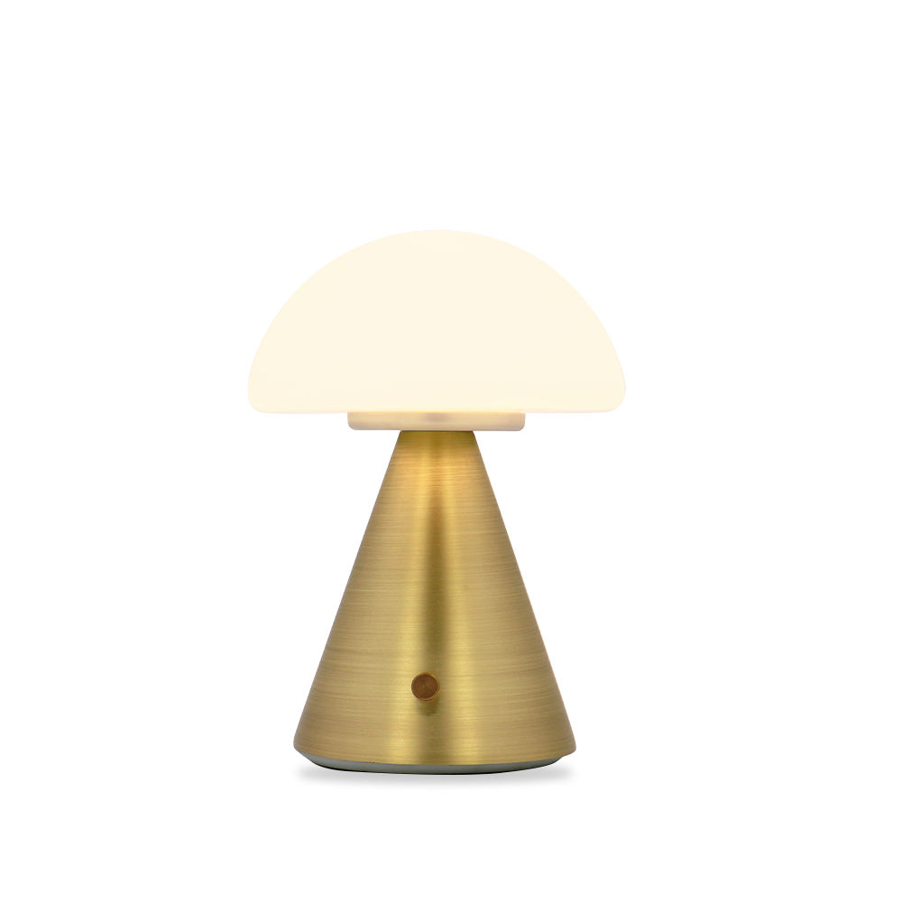 Brisa_Mushroom type_table lamp