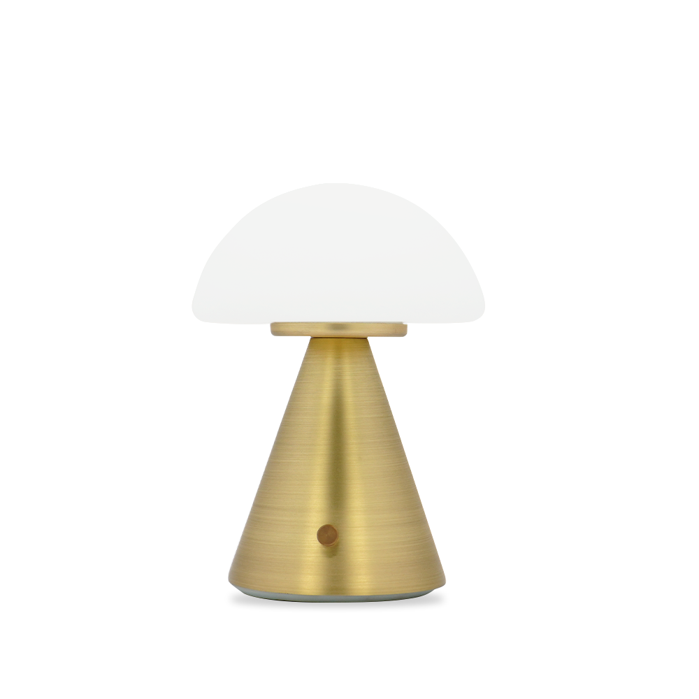 Brisa_Mushroom type_table lamp