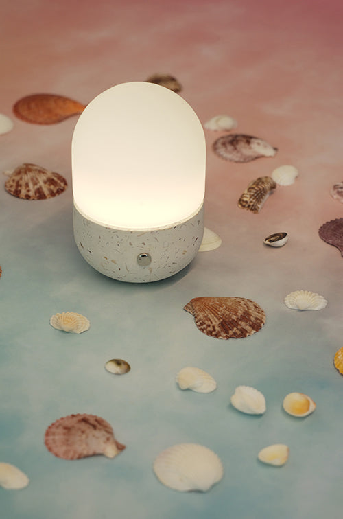 CAPSULE- shellfish - biowaste material table lamp