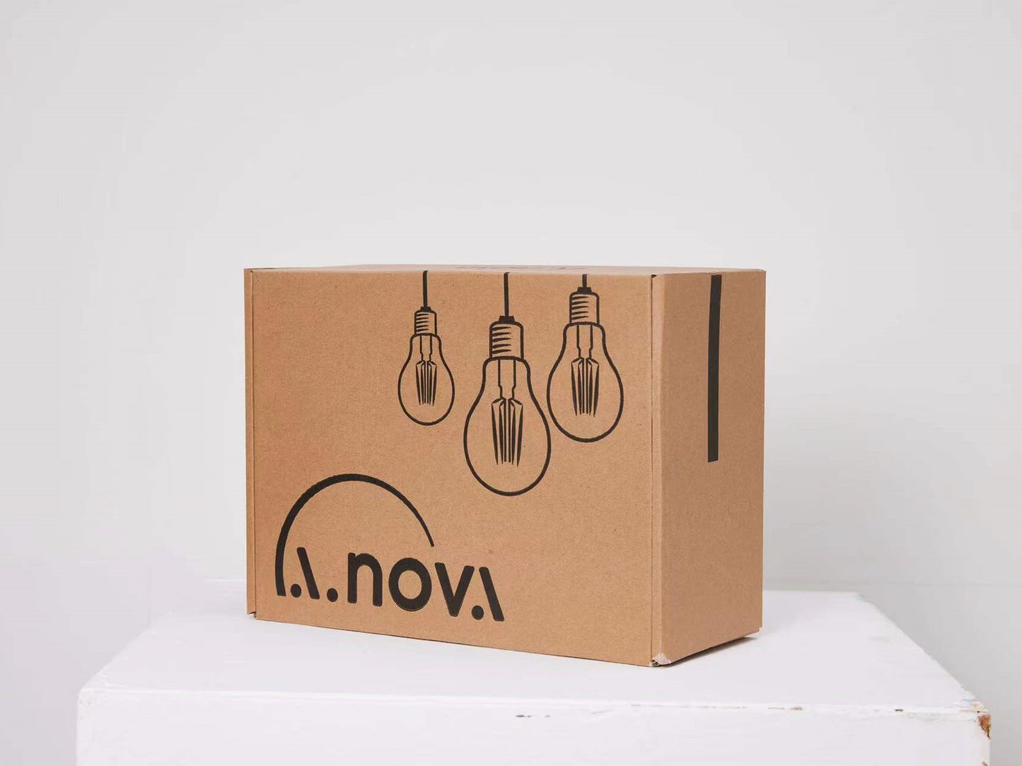 LANOVA-Indoor String Lights-LUX-24ft